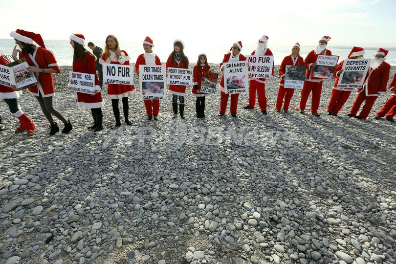 サンタ集団、「毛皮なしのクリスマスを」 仏で抗議デモ