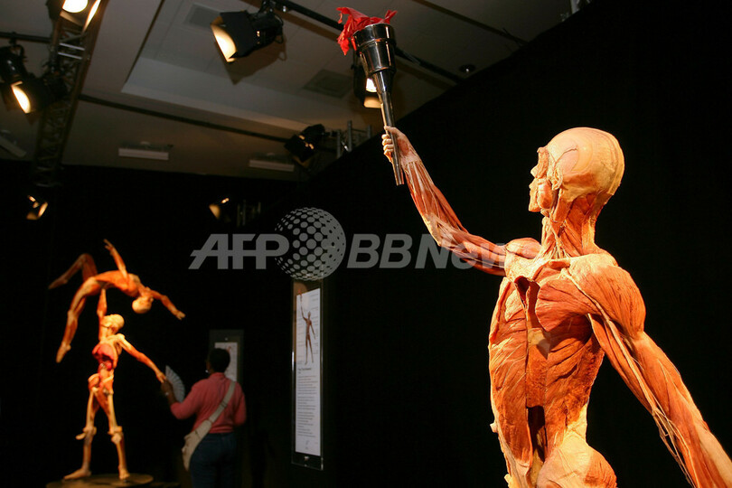 ロスの実物人体標本展覧会「人体の世界3」、美容体操中の標本も登場