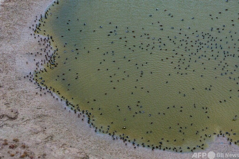 【今日の1枚】秋の湿原、大地のキャンバス 中国