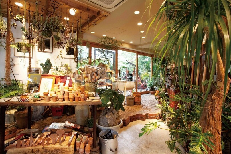 ＜senken h 127＞ファッションもライフスタイルも、新しい豊かさを教えてくれる緑の館／アダム エ ロペ ビオトープ