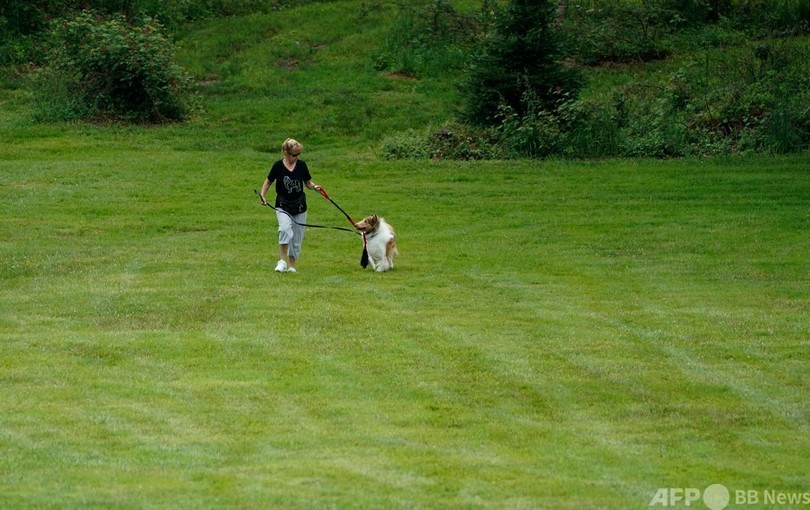 どの犬も全力疾走 米伝統のドッグショーで障害物競走