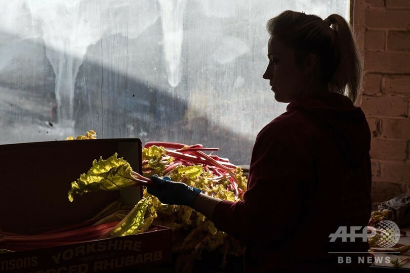 ルバーブ農家、英国料理の革新で需要増