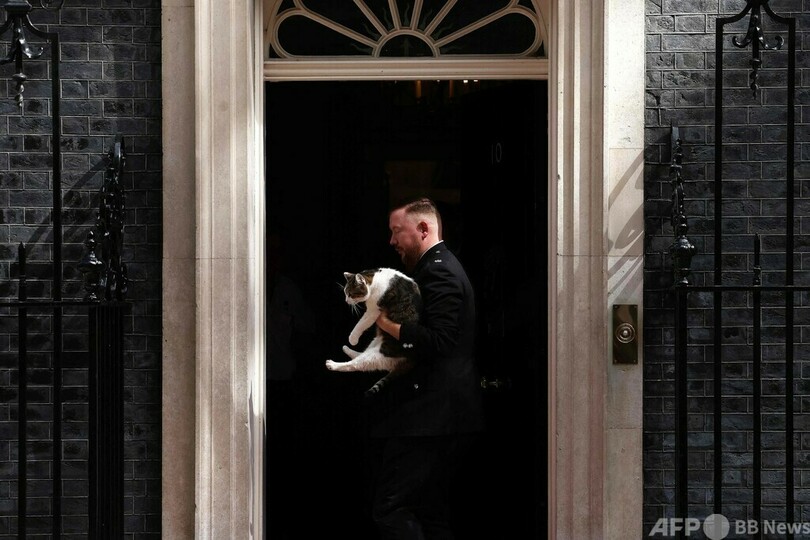 【今日の1枚】お出迎えは吾輩の務めのはずが… 英