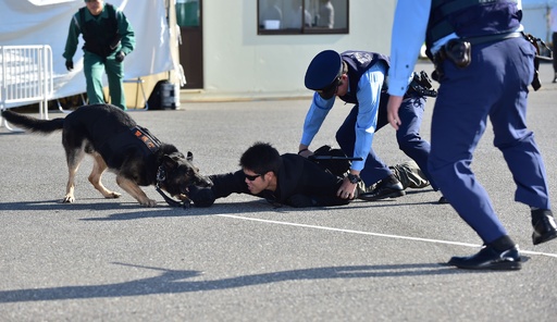 東京五輪 パラ組織委 本番想定し警視庁と合同訓練 写真9枚 国際ニュース Afpbb News