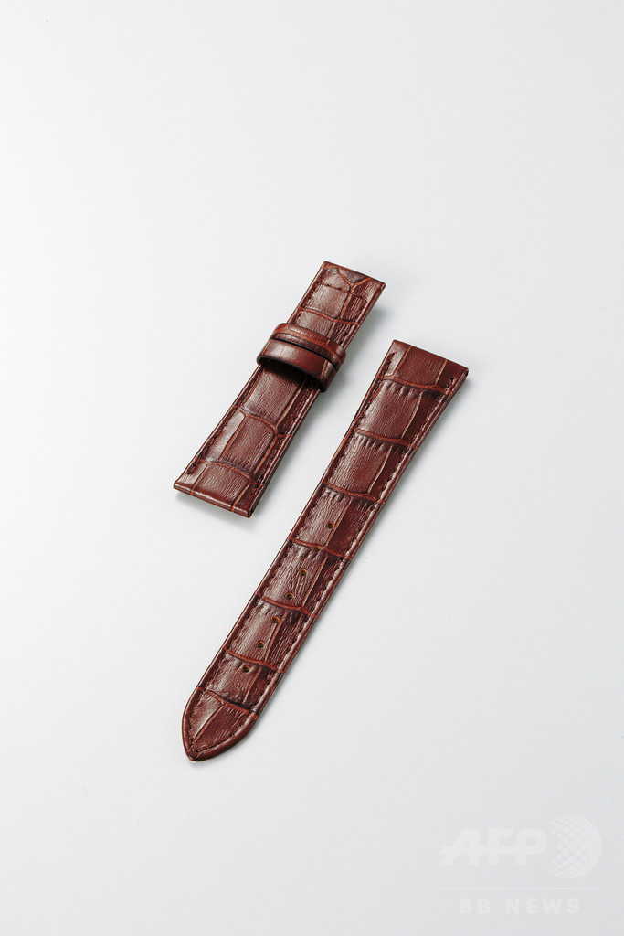 「シチズン クロスシー×ANA」コラボウオッチ、数量限定で発売