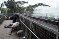 ケニア首都ナイロビで発生した警察と野党連合「国民スーパー連合（NASA）」支持者らの衝突の様子（2017年11月17日撮影）。(c)AFP/YASUYOSHI CHIBA