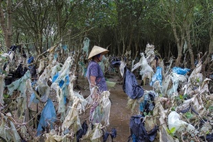 【写真特集】アジアのプラスチックごみ問題
