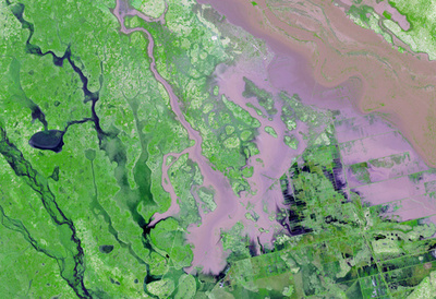 モザンビーク洪水被害拡大、豪雨止まず15万人避難