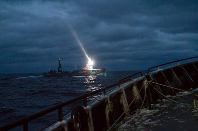 「日本の捕鯨船から攻撃」、シー・シェパードが主張