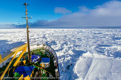 南極海でロシア船が立ち往生、厚い氷が救助船も阻む