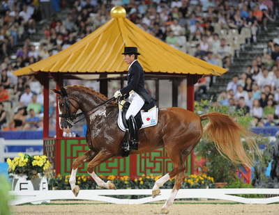ロンドン五輪乗馬、日本人71歳で最年長出場へ 法華津選手