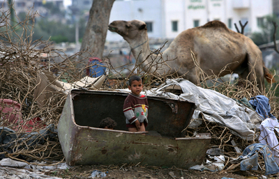 国連、ガザ地区での食糧支援を一時中止