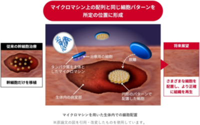 マイクロマシンを用いて生体内に望みのパターンで細胞を配置