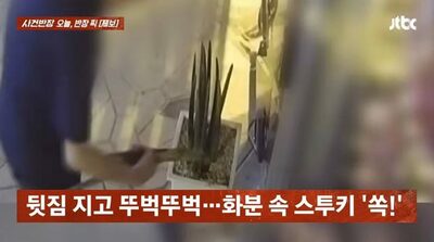 「何でもない」と、ごまかし逃走…韓国・深夜の飲食店前で鉢植えから「植物だけ」手で引き抜いて盗もうとした男