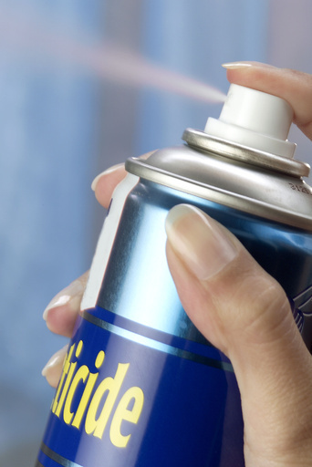 殺虫剤で罪を浄化？ 南ア牧師、信徒の顔に吹きかけ物議