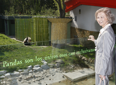 中国寄贈のパンダをスペイン王妃が見物