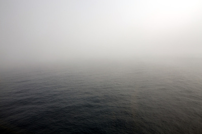 進化の隙間を埋める魚竜の化石、中国で発見