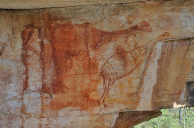 アボリジニ壁画に絶滅の鳥、南半球で最古の壁画か オーストラリア