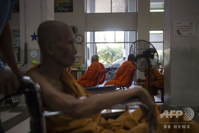 メタボに苦しむタイの僧侶、半数近くが肥満とのデータも