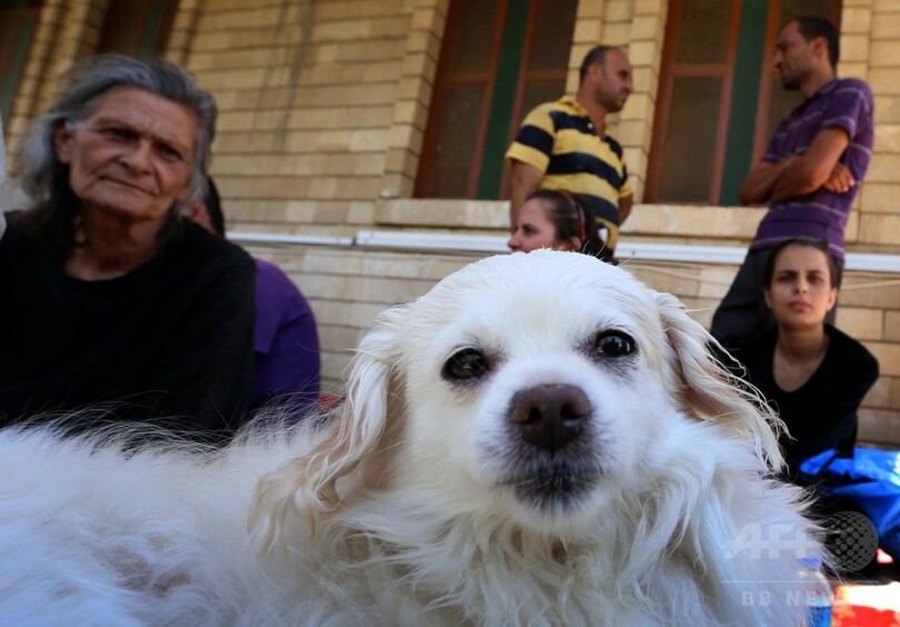 米、イラク北部に軍事顧問を追加派遣 約130人