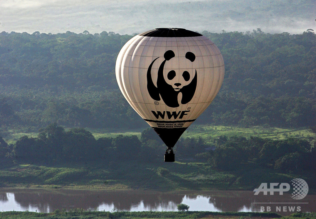 WWF支援事業の密猟対策部隊、先住民らを殺害・拷問か 第三者調査へ WWF支援事業の密猟対策部隊、先住民らを殺害・拷問か 第三者調査へ