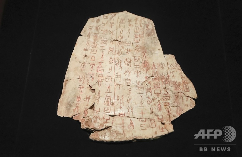 img_24142807853a9c1c4430af55b6