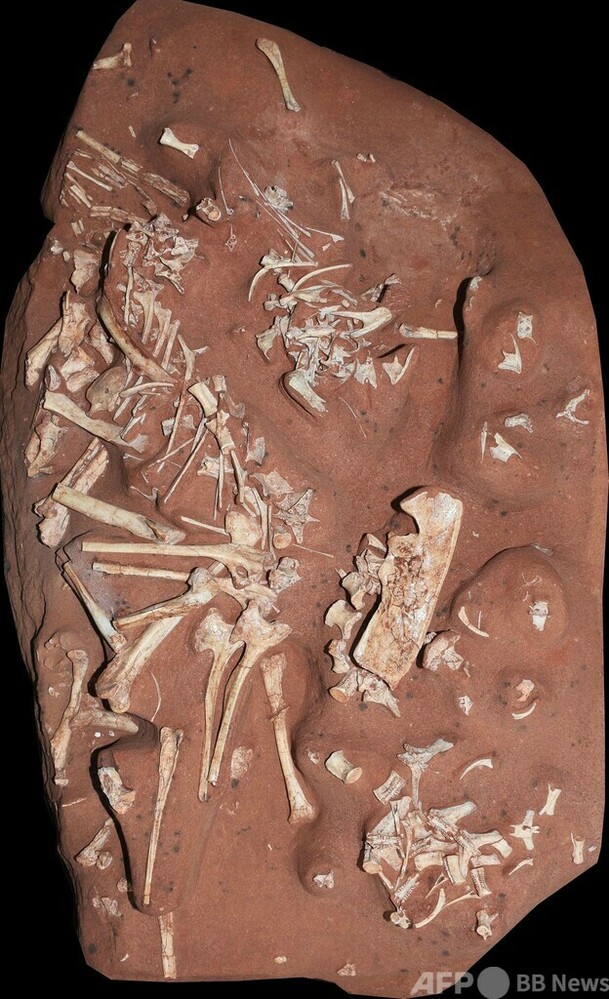 img_245f2a36ae226078237515f081