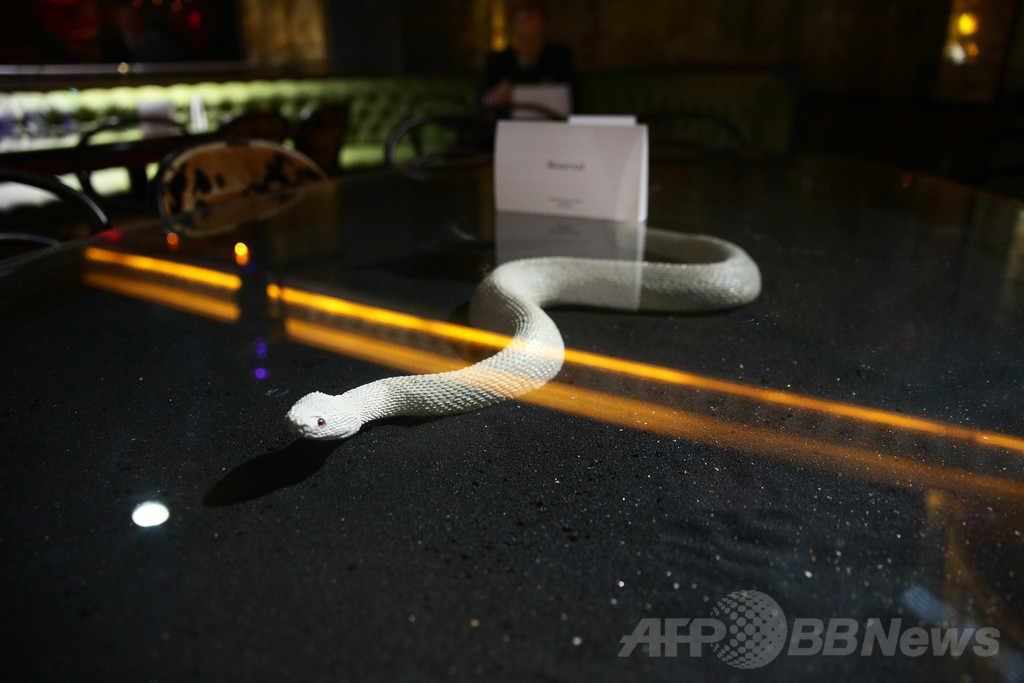 「ミュウミュウ」最新ショートフィルム上映イベントに豪華顔ぶれ
