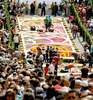 イタリア・ローマ（Rome）南部にあるジェンツァーノ（Genzano）で開催された、花びらじゅうたんの祭り「infiorata（インフィオラータ）」に出品された作品（2008年6月15日撮影）。(c)AFP/Tiziana Fabi
