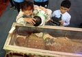 インド・ゴア（Goa）州のセ大聖堂（Se Cathedral）で、小さな子供にイエズス（Jesuit）会宣教師フランシスコ・ザビエル（Francis Xavier）の遺体を納めたひつぎにキスをさせる女性（2014年11月22日撮影）。(c)AFP/PUNIT PARANJPE