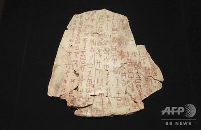 中国甲骨文　世界文化遺産　土産 甲骨文発見から120周年、中国国家博物館で初の大規模な「甲骨文文化展