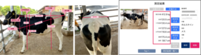 BIPROGY 牛の体尺/体重推計データの可視化で畜産業の生産性向上と経営効率を支援