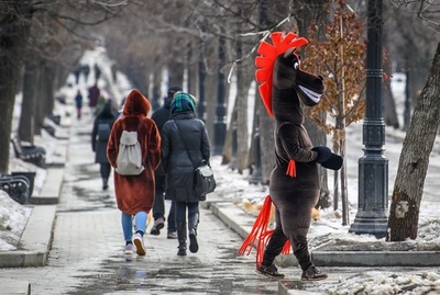 【今日の1枚】スルーされちゃった…?