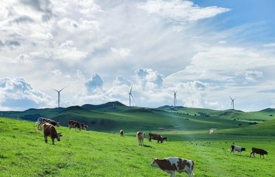 中国最大の陸上風力発電基地、フル生産体制に