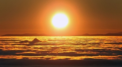 太陽光遮る温暖化対策、専門家60人が禁止求める