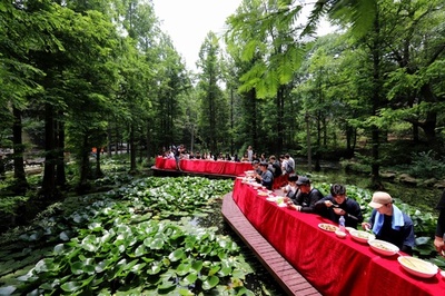 餃子でピクニック 河南・鶏公山で留学生ら