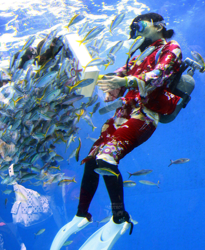 オタリアの書き初めに振り袖ダイバー、水族館で新春イベント