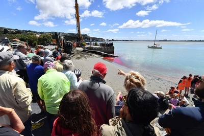 死んだクジラを一目見ようと人だかり、クライストチャーチではまれ NZ