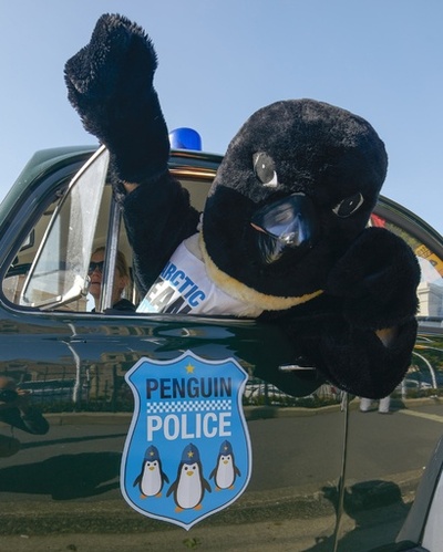 ペンギンに扮して南極保護をアピール、豪
