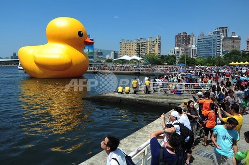 台湾の地震で 巨大アヒル が犠牲に お尻から破裂 写真1枚 ファッション ニュースならmode Press Powered By Afpbb News