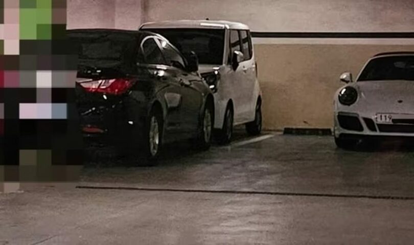 「ボベドリーム」(c)news1