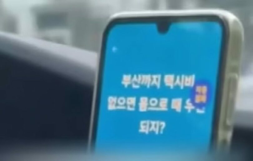 タイ人女性がTikTokに投稿した韓国タクシーでの被害動画=TikTok(c)MONEYTODAY