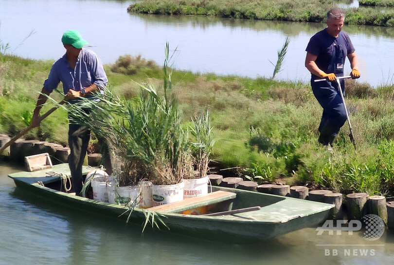 ラグーンに「健全な環境取り戻す」 伊ベネチアの取り組み