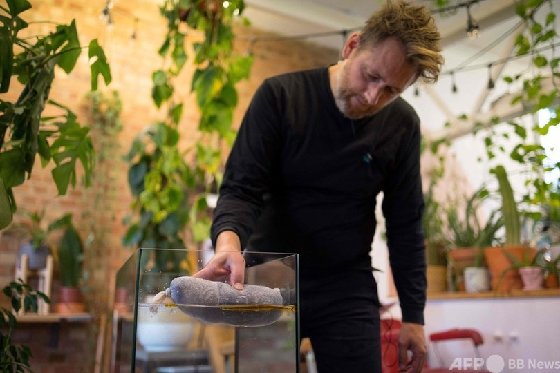 今日カットした髪で明日の環境を守ろう 英美容師団体