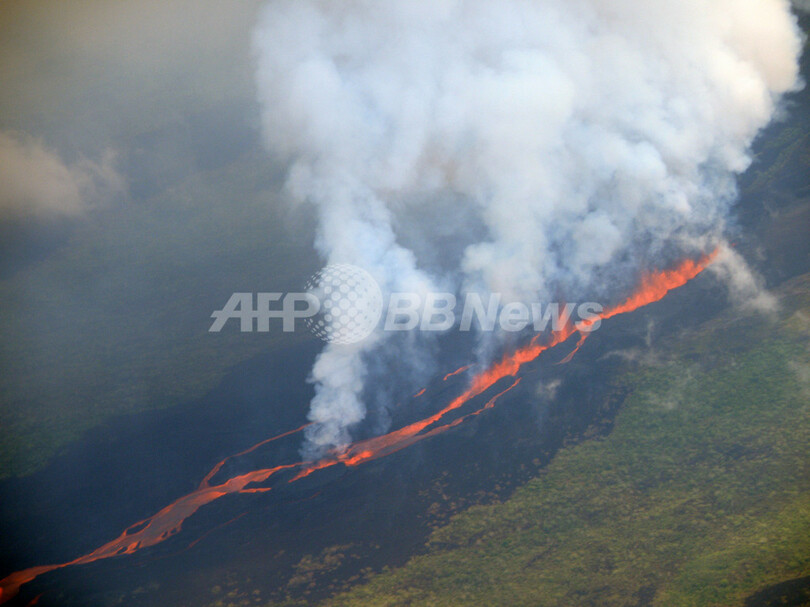 ガラパゴス諸島で噴火、生態系に影響も