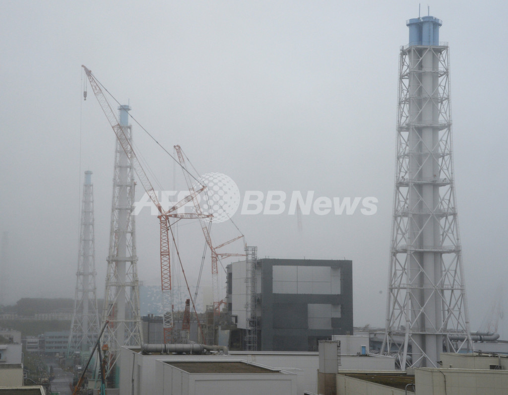 牛の精巣、セシウムによる影響ない 東北大チーム調査 牛の精巣、セシウムによる影響ない 東北大チーム調査