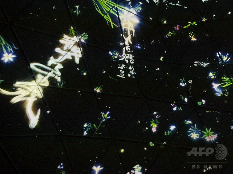 紫舟とチームラボがコラボ、「Love Letter Project’ 14」