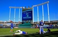 ワールドシリーズに向けて本拠地カウフマン・スタジアム（Kauffman Stadium）で公開練習に臨むカンザスシティ・ロイヤルズ（Kansas City Royals）の選手（2014年10月20日撮影）(c)AFP/Getty Images/Jamie Squire