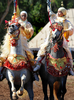 モロッコの首都ラバト（Rabat）で、伝統の騎馬戦術を再現する祭り「ファンタジア（Fantasia）」が開催された。写真は馬に乗る女性の参加者（2009年7月9日撮影）。(c)AFP/FADEL