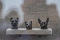 エジプトの古代都市サッカラの発掘現場で展示された、同国考古学チームが新たに発見した猫の銅像（2018年11月10日撮影）。(c)KHALED DESOUKI / AFP